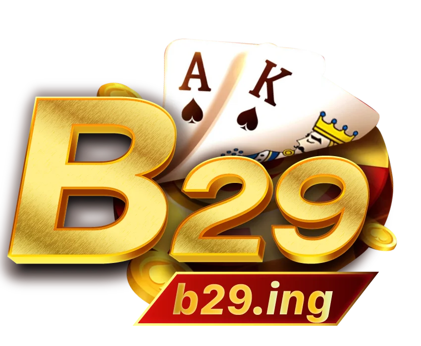 logo footer B29