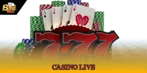 Casino Live