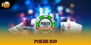 Poker B29