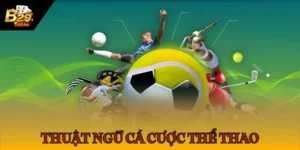 Thuật Ngữ Cá Cược Thể Thao