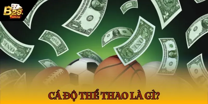 Giới thiệu cá độ thể thao