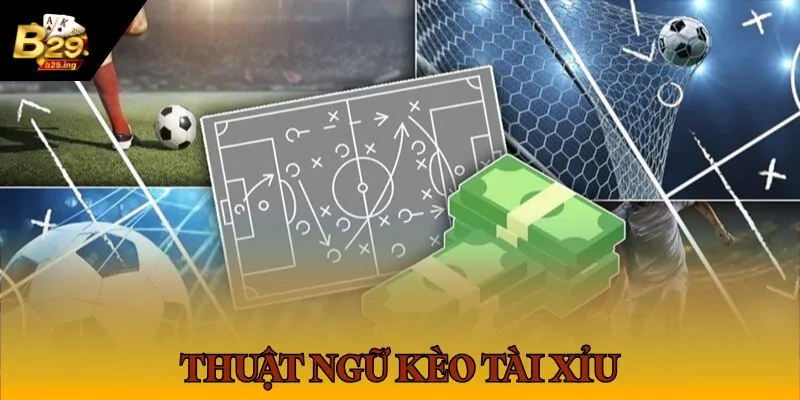 Thuật ngữ cá cược thể thao về kèo tài xỉu được nhiều anh em quan tâm