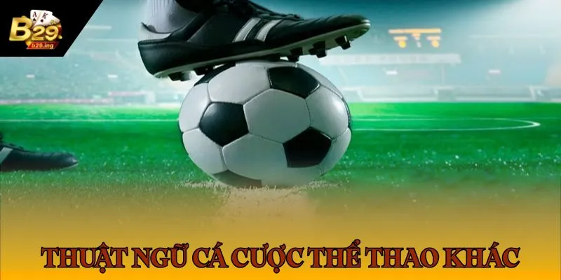 Nắm rõ những thuật ngữ cá độ thể thao tại B29 ở trên